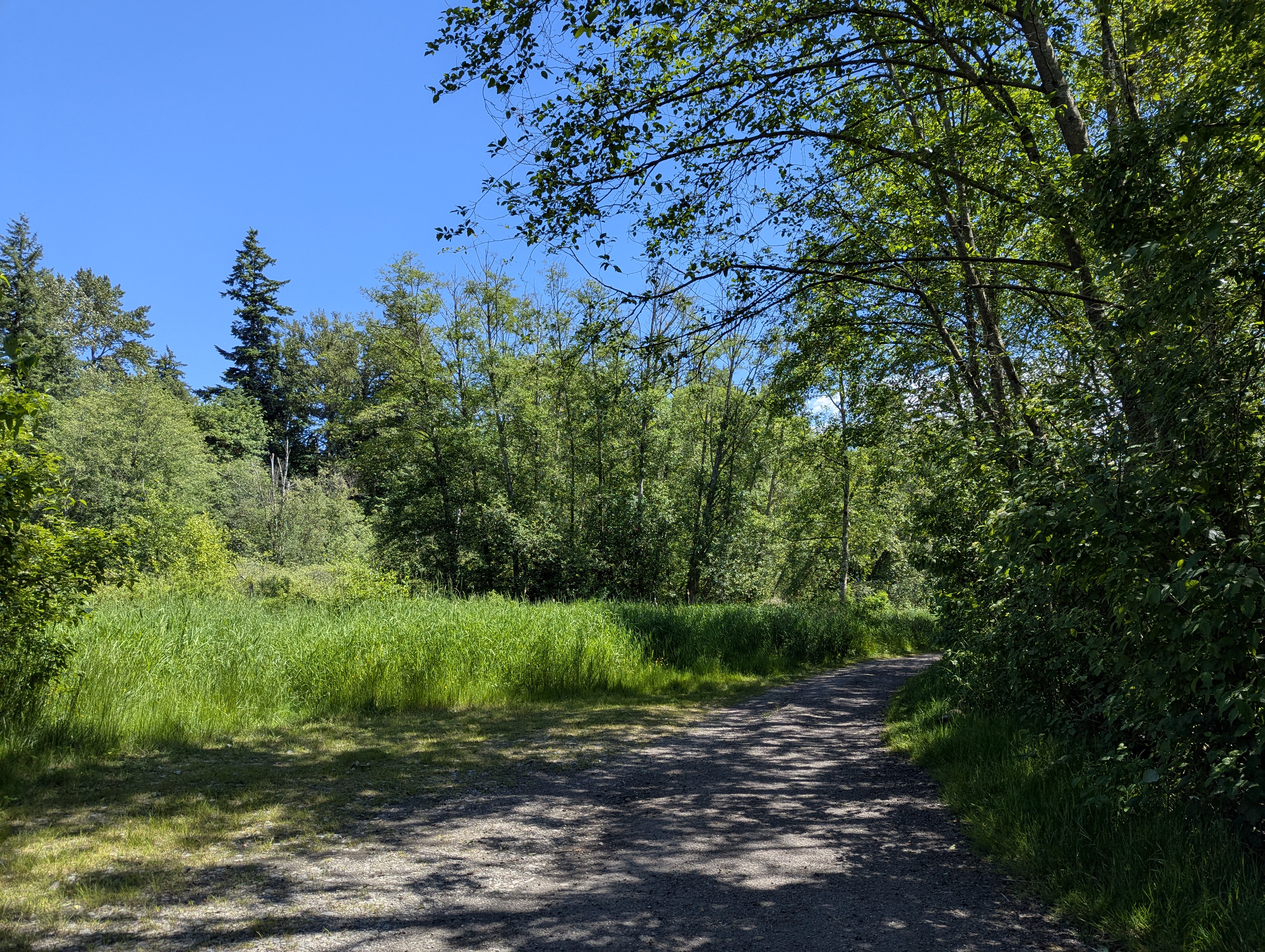 Birthday Trip to Canada, Delta, Burns Bog, Vancouver, British Columbia